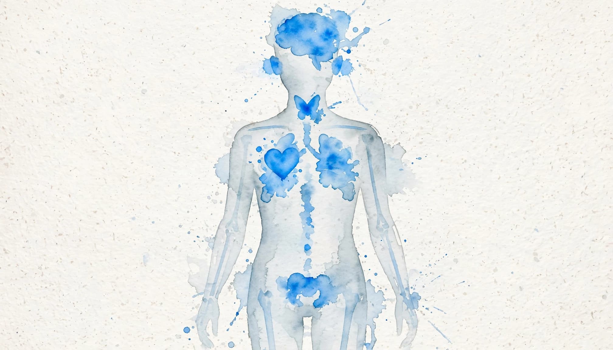 A watercolor medical illustration of a translucent human silhouette with blue highlights on internal organs.